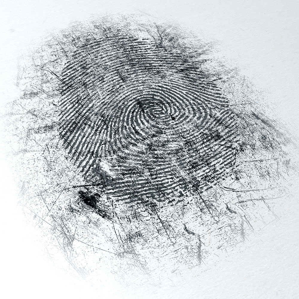 fingerprint image