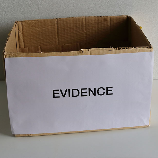 no evidence web